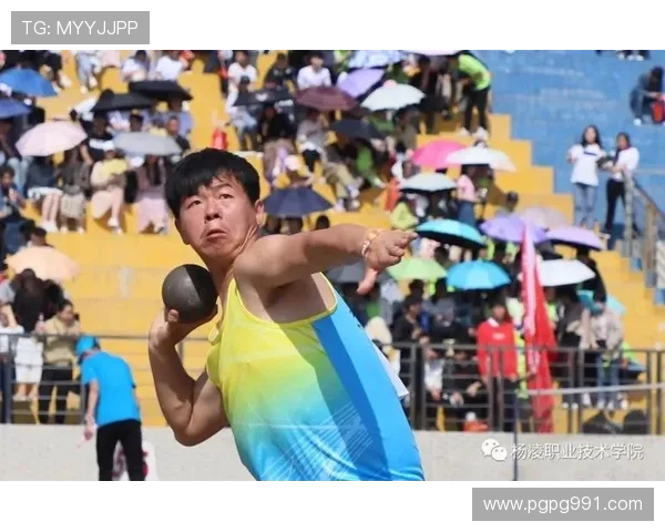 北京体育风云直播：激情赛场，荣耀时刻